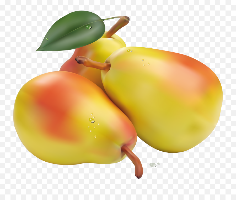 Pears Png Clipart Picture - Pears Png,Pear Png