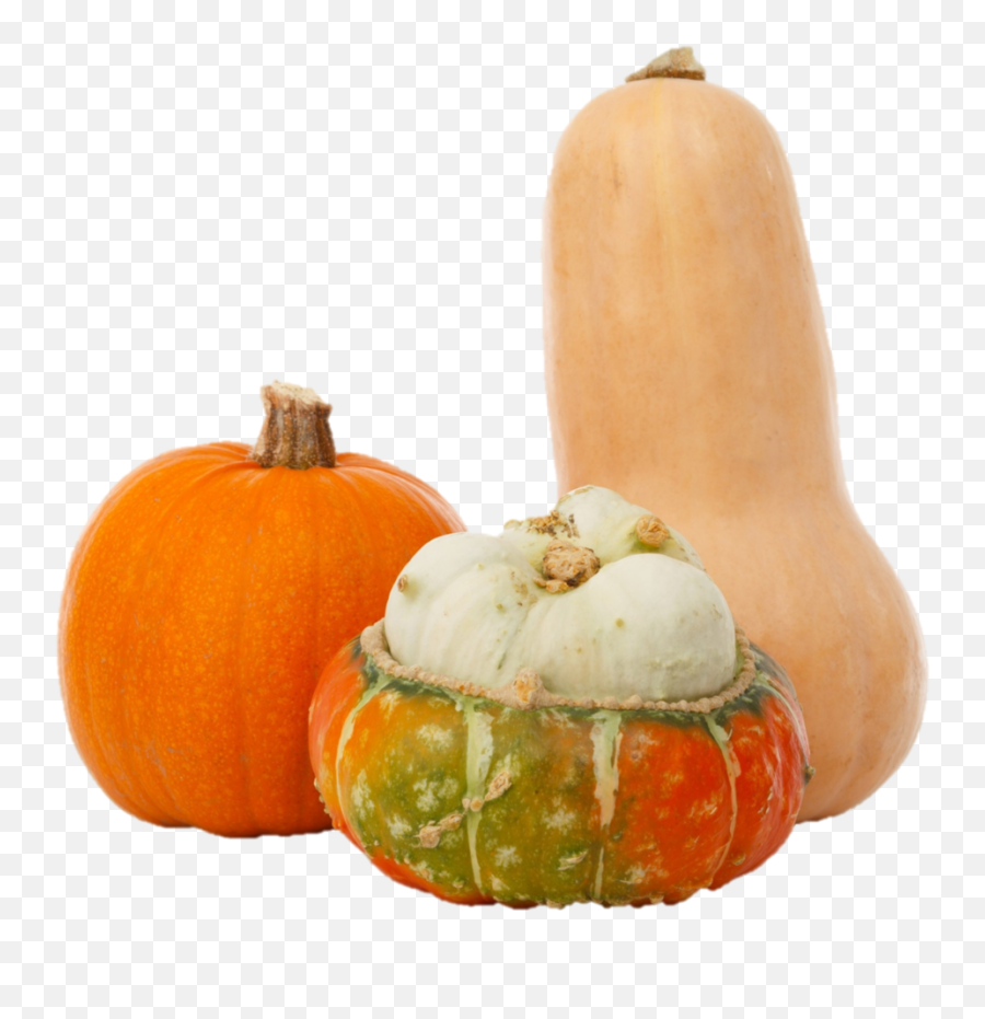 Products U2014 Cornerstone Produce Group - Pumpkin Png,Squash Png