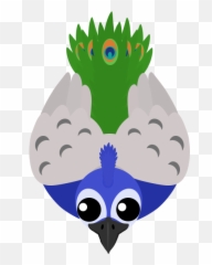 Peacock - Paki Animals Mope Io Png,Peacock Png
