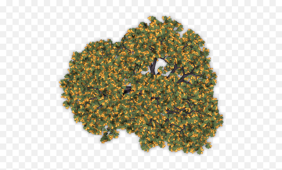 Dundjinni Mapping Software - Forums Apricot Trees Tree Png,Fruit Tree Png