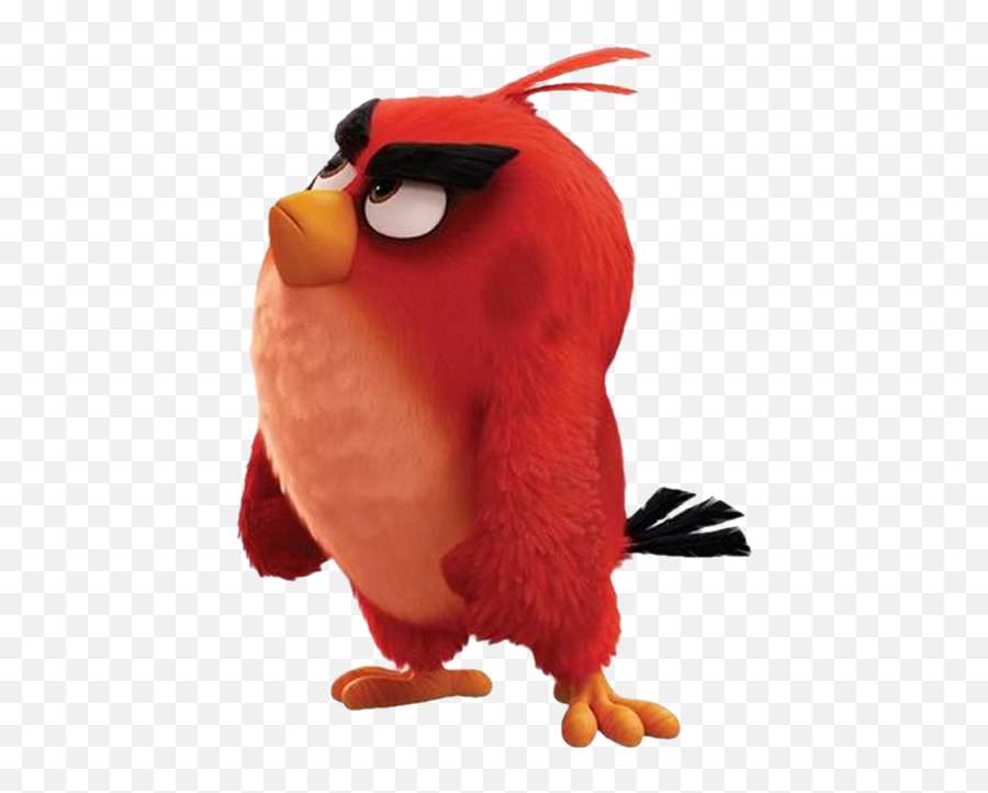 Angry Birds Red - Angry Birds Film Red Transparent Png Red Angry Birds Movie Png,Angry Eyebrows Png