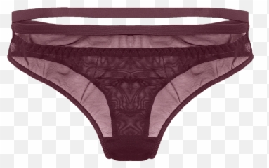 Underwear Transparent Png Images Panties