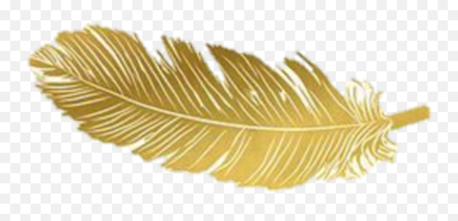 Download Gold Feather Feathers Native - Fern Png,Feathers Transparent