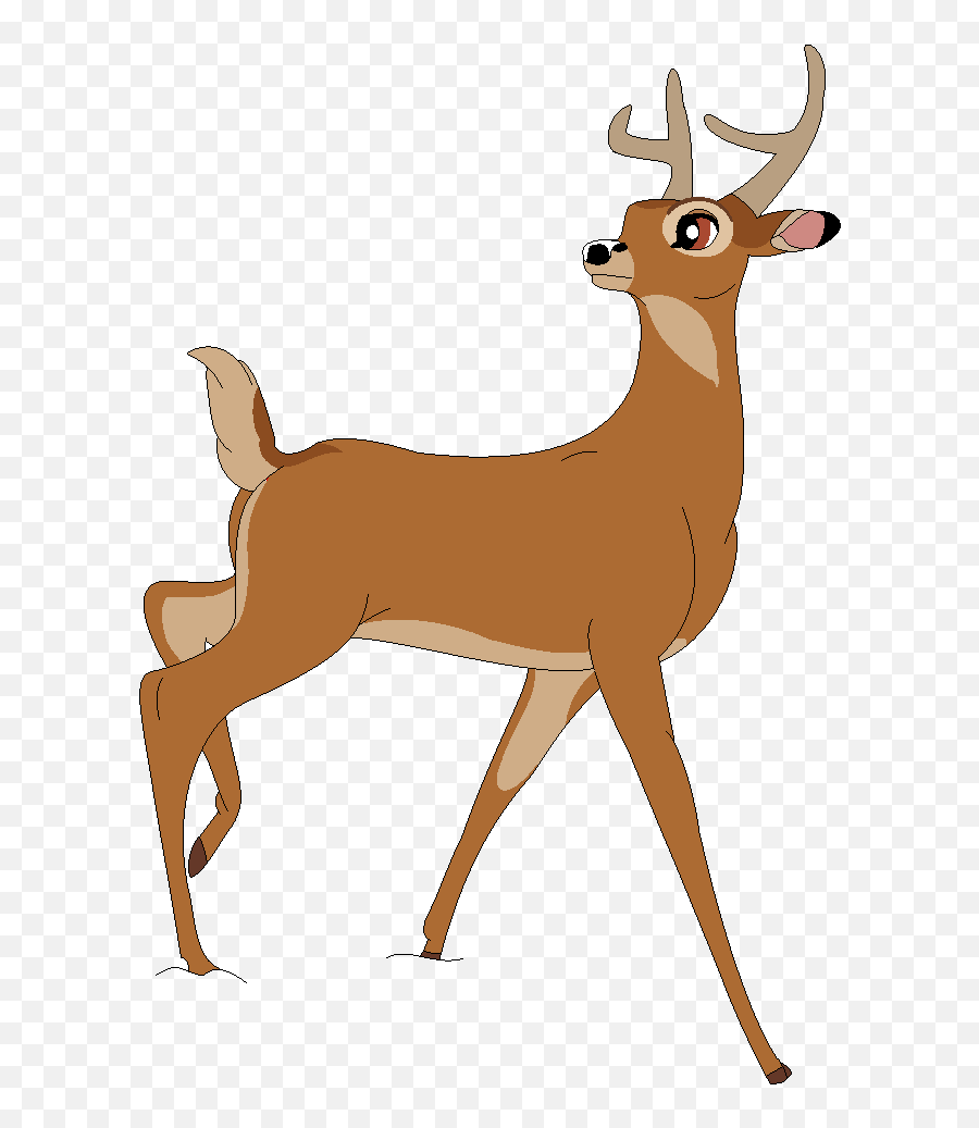 White - Tailed Deer Faline Red Deer Color Raindrop Png White Tailed Deer Cartoon,Baby Deer Png
