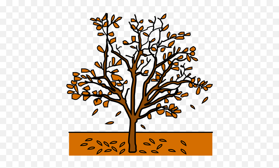 Global Symbols Fall Tree Autumn In Arasaac - Dibujo De Otoño A Color Png,Fall Tree Png