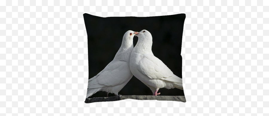 Two Loving White Doves Throw Pillow U2022 Pixers - We Live To Change Posters Of Loving Dove Png,White Doves Png