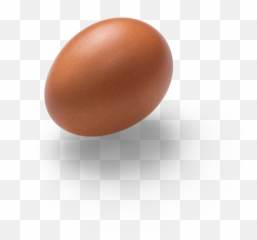 Egg Graphic Asset - png