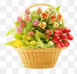 Bouquet Of Flowers Png Images Free Download - Flower Png