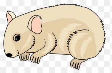 Desenho Animado Fofo De Capivara Gerado Por Ia PNG , Bonitinho, Animal,  Hamster PNG Imagem para download gratuito