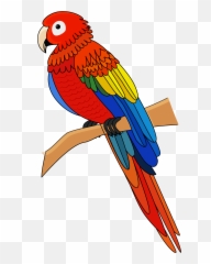 Macaw Clipart Free Download Transparent Png Creazilla - Macaw Clipart,Macaw Png