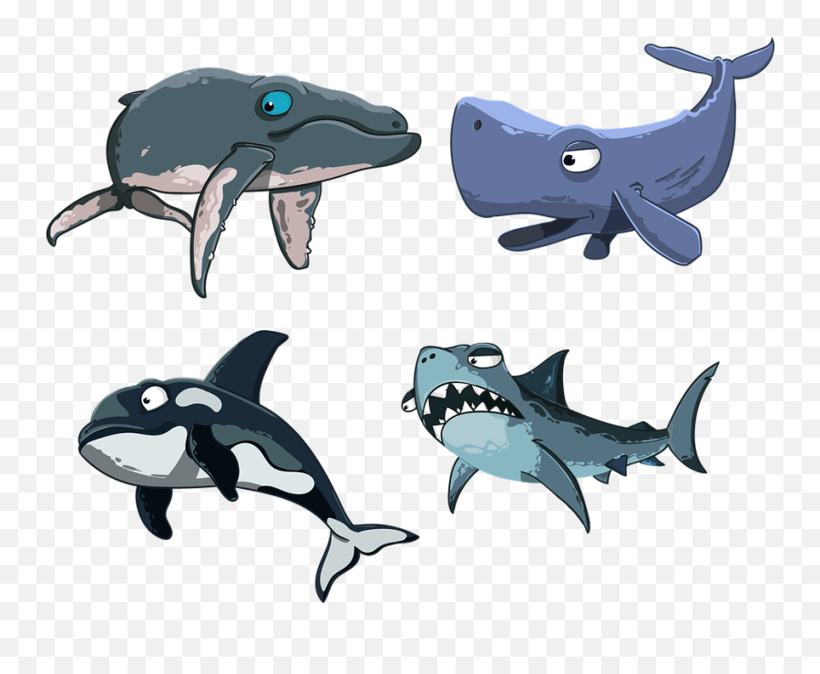Kit Sperm Whale Shark Killer - Cartoon Sharks And Whales Png,Whale Shark Png