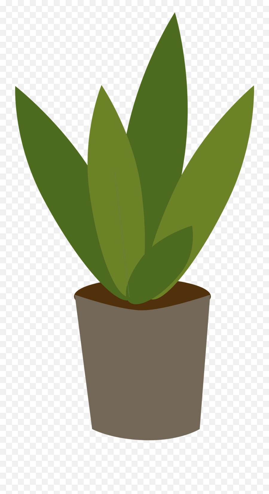 Potted Plant Clipart Free Download Transparent Png Creazilla - Flowerpot,Potted Plant Png