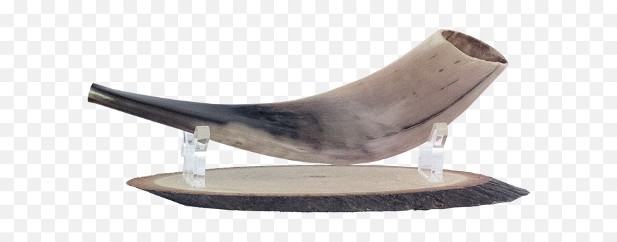 Download Shofar Wooden With Lucite - Solid Png,Shofar Png