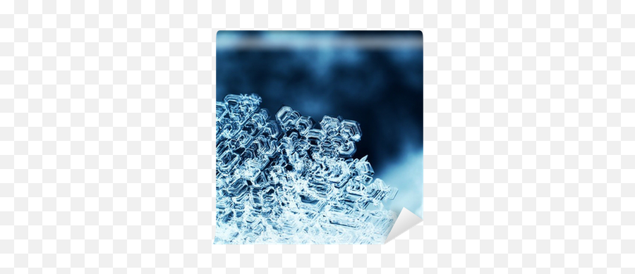 Ice Crystals Macro Wall Mural U2022 Pixers - We Live To Change Crystal Png,Ice Crystal Png