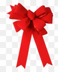 38 Bow Png Images Free Download Present
