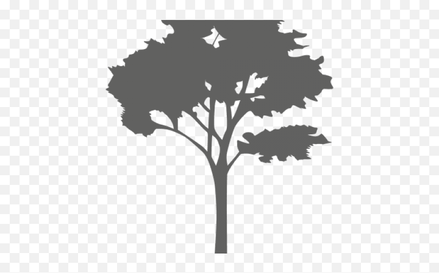 Plant Clipart Transparent Background - Silhouette Cut Out Tree Png,Tree Silhouette Transparent