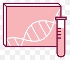 Hereditary Breast Cancer And Brca Genes Bring Your Brave Cdc - Genetic Testing png