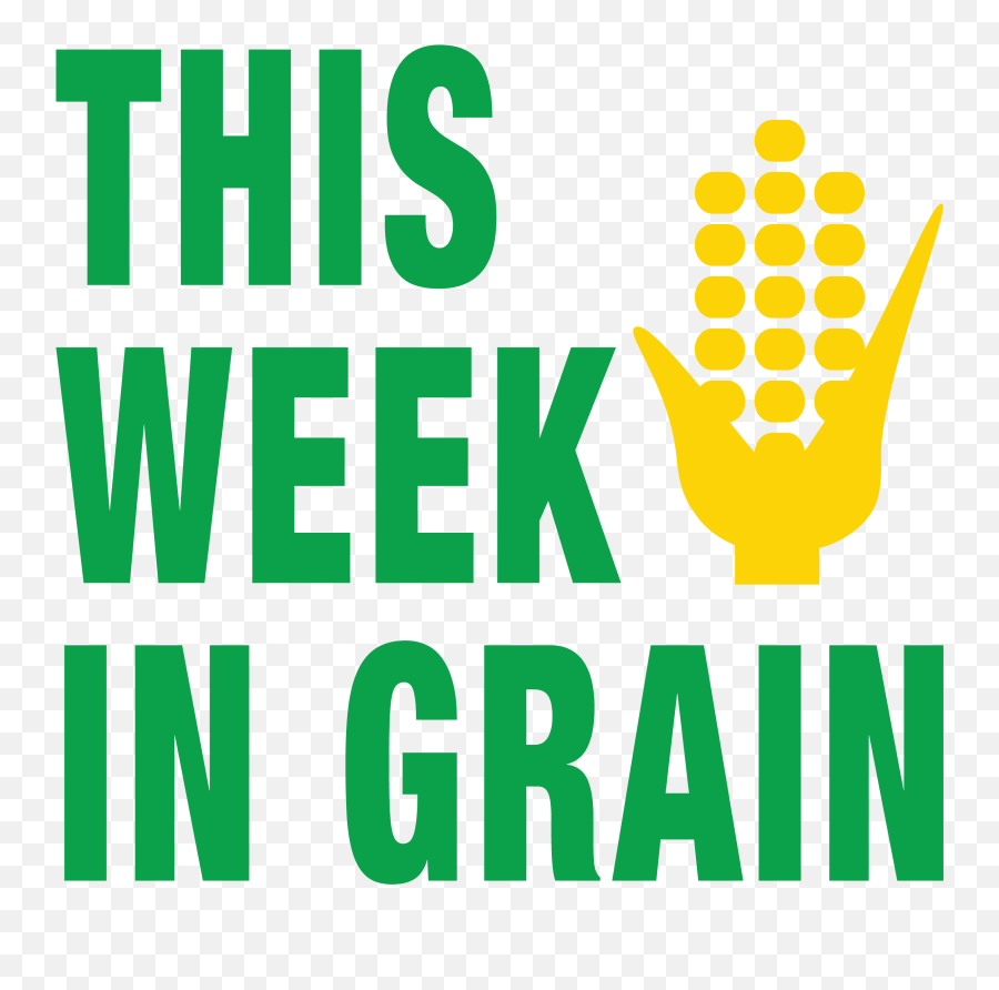 Grain - Futures Contract Png,Icon 3000