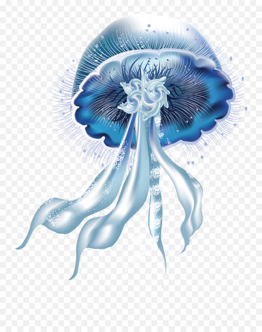 Jellyfish Png Picture - Jellyfish Png,Transparent Jellyfish