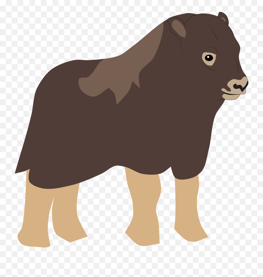 Musk Ox Bull - Free Vector Graphic On Pixabay Animal Figure Png,Yak Icon
