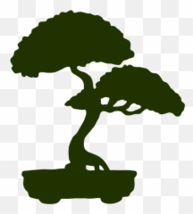 Bonsai Trunk Pot Silhouette - Transparent Png U0026 Svg Vector File Silhouette,Bonsai Tree Png