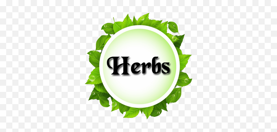 Our Products - Vector Green Leaf Png,Herbs Png