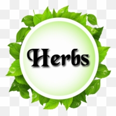 Our Products - Vector Green Leaf Png,Herbs Png