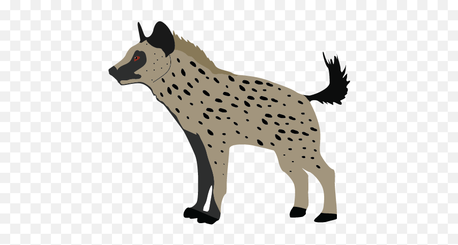 The Best Free Hyena Clipart Images Download From 31 - Hokkaido Png,Hyena Png