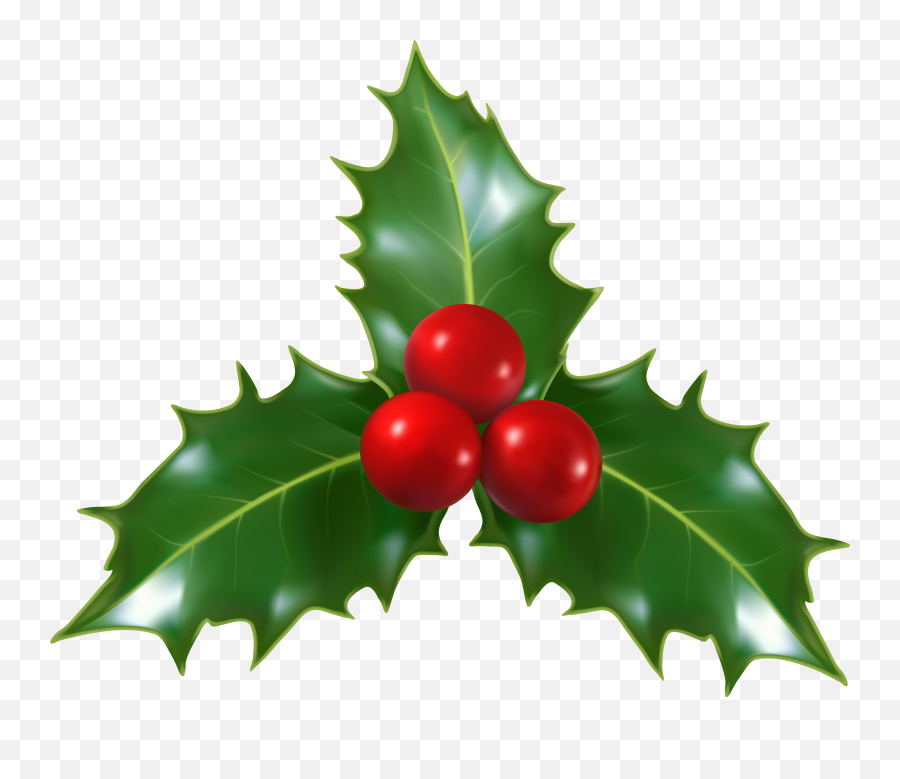 Christmas Holly Border Vector - Christmas Holly Png,Christmas Holly Png