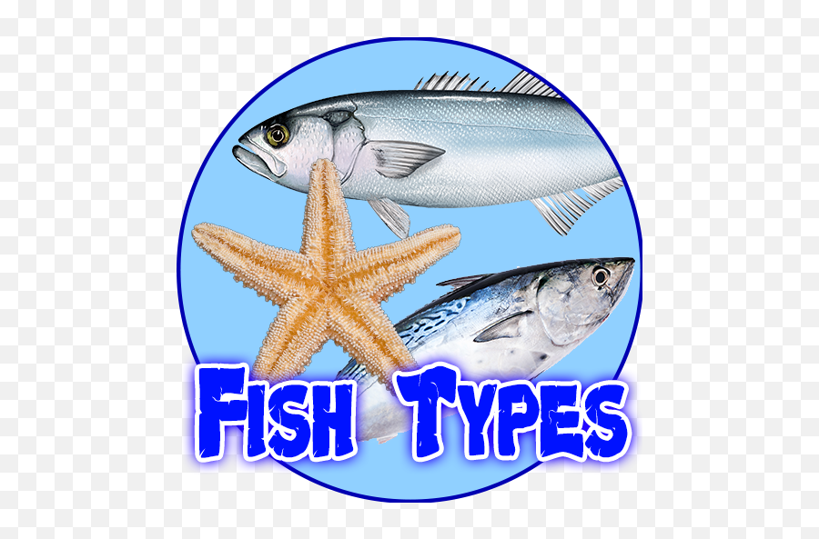 Fish Types Goldfish Saltwater Freshwater Apk 102 - Fish Products Png,Goldfish Icon