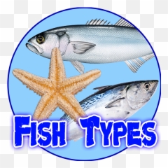 Fish Types Goldfish Saltwater Freshwater Apk 102 - Fish Products Png,Goldfish Icon