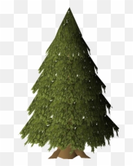 Evergreen - Christmas Tree png