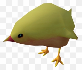 Chick - Illustration Png,Chick Png