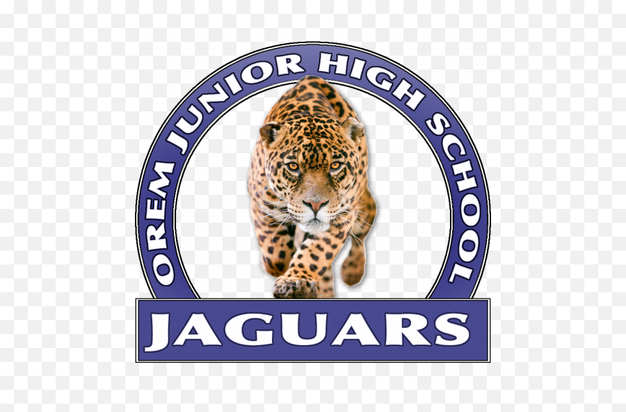 Cropped - Ojhjaguarlogopng U2013 Orem Junior High School,Jaguars Logo Png