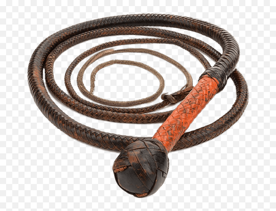 Young Indiana Jones Whip Transparent - Indiana Jones Whip Png,Whip Png