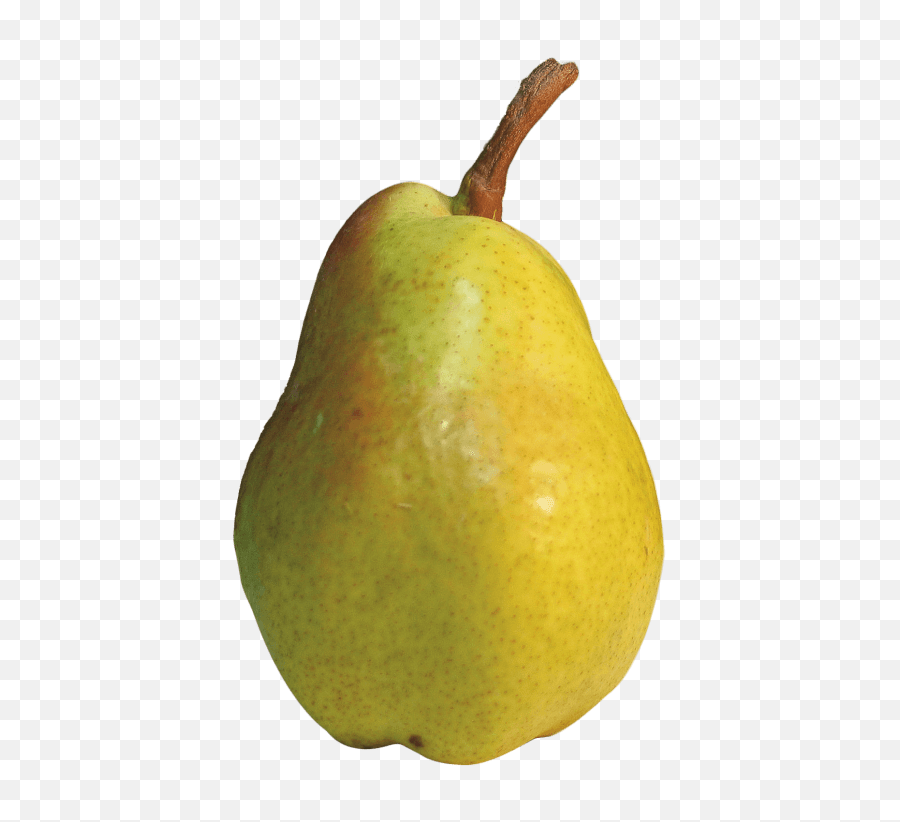 Download Hd Pear Png Image - Pear Png,Pear Png