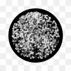 Download Babys Breath Breakup - Portable Network Graphics Png,Baby's Breath Png
