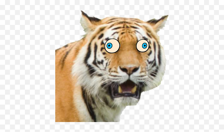 Giant Realistic Flying Tiger Uncle Grandpa Wiki Fandom - Funny Face Funny Tiger Png,Tiger Face Png
