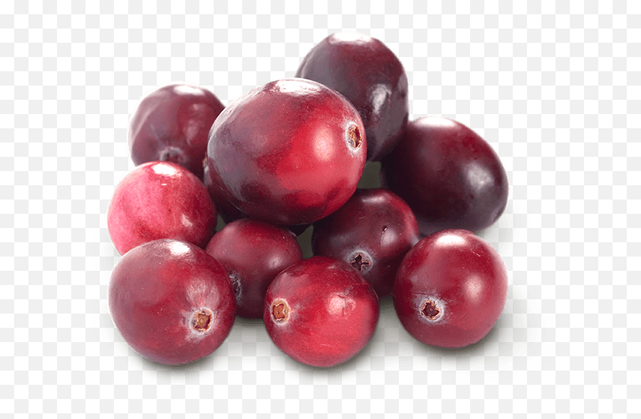 Cranberry - Cranberries Png,Cranberry Png