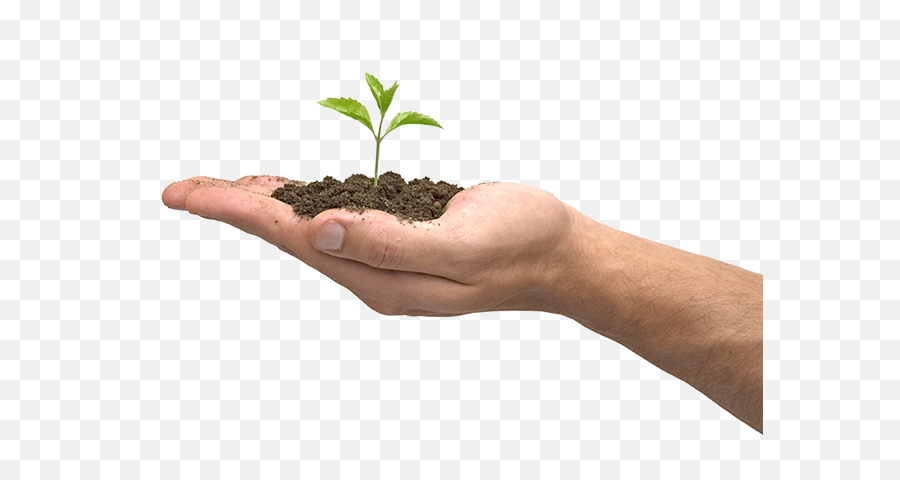 Hand Plant Png 2 Image - Seguridad Y Medio Ambiente,Plant Transparent Background