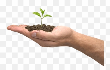Hand Plant Png 2 Image - Seguridad Y Medio Ambiente,Plant Transparent Background