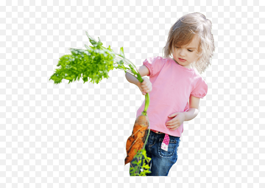 Gardening For Beginners - Kids Gardening Png,Gardening Png