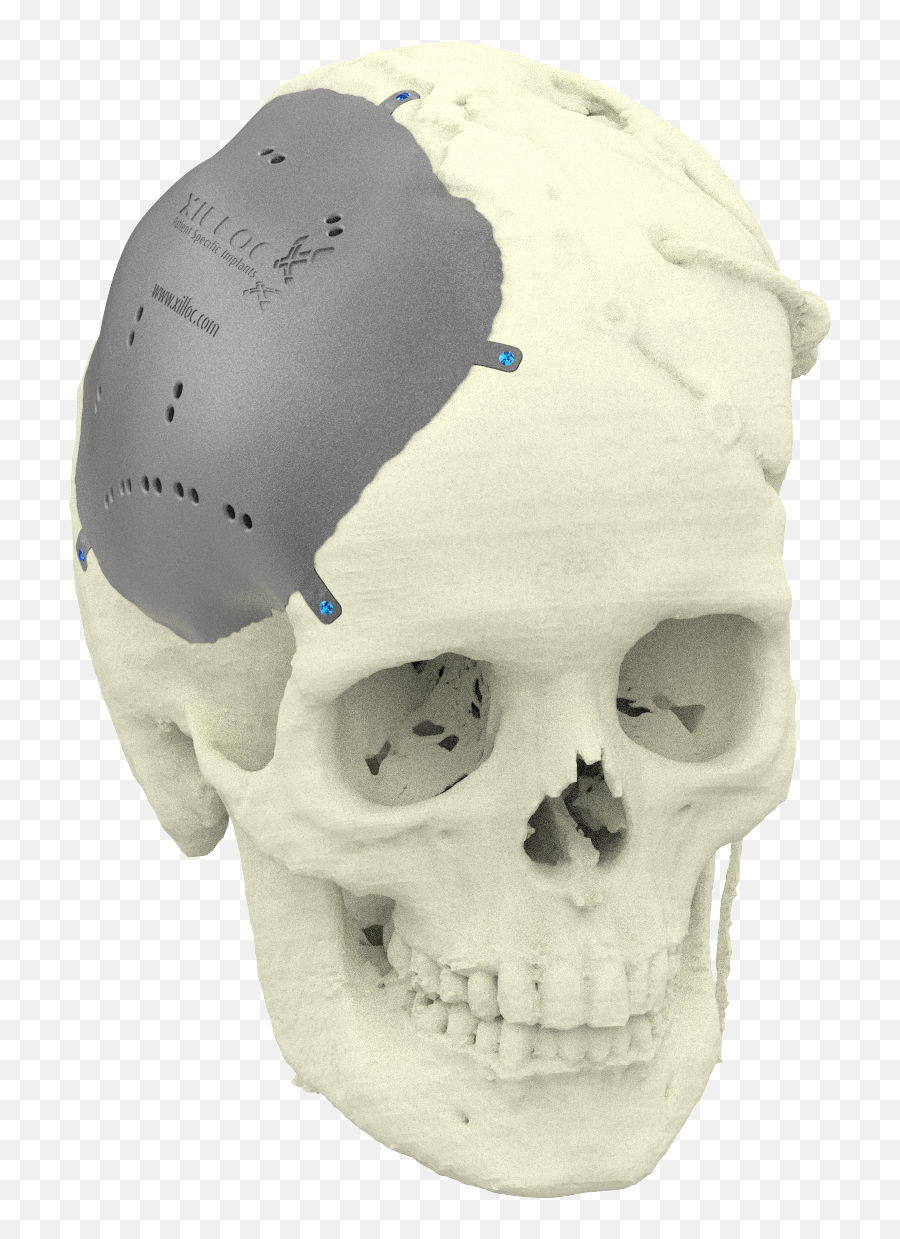 About Us Xilloc Png 3d Skull