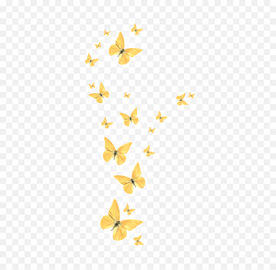 Butterfly - Golden Butterfly Png Download 422800 Free Transparent Gold Butterfly Png,Butterfly Png Transparent
