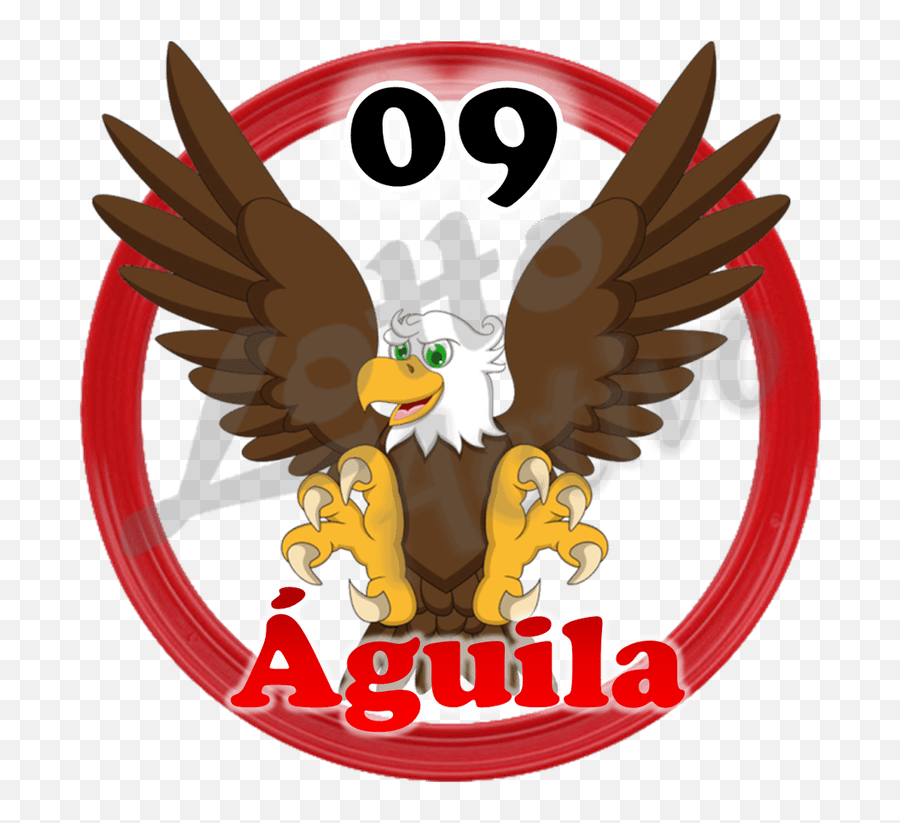 20 Sep - Lotto Activo 09 Png,Aguila Png