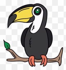 Toucan Perch Branch Hand Drawn - Transparent Png U0026 Svg Toucan,Toucan Png