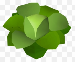 Cabbage Old School Runescape Wiki Fandom - Runescape Cabbage Png,Old School Runescape Logo