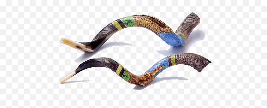 High Quality Horns Shofars From Israel - Painted Shofar Png,Shofar Png