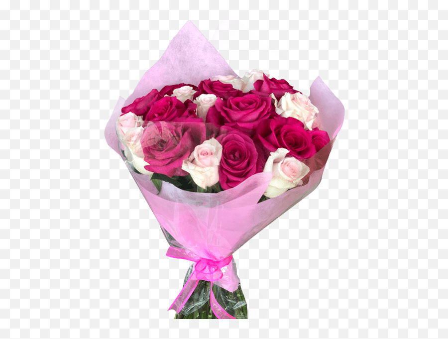 Diy 24 Hot U0026 Light Pink Roses Bouquet Arrangement Magnaflor - Diy Bouquet Rose Pink Png,Pink Rose Transparent