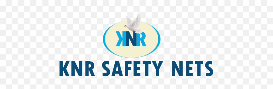 Safety Nets In Hyderabad - Effective Price Knr Vertical Png,Nets Logo Png